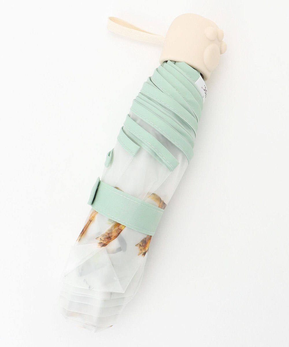 ANY SIS 【猫プリント】沖昌之 折りたたみアンブレニャン 