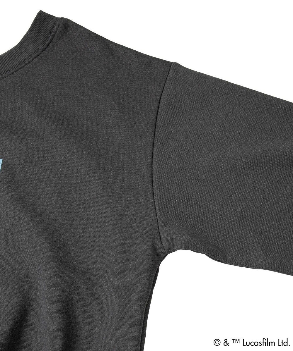 Green Parks ＳＴＡＲ　ＷＡＲＳ／オフショルスウェット 