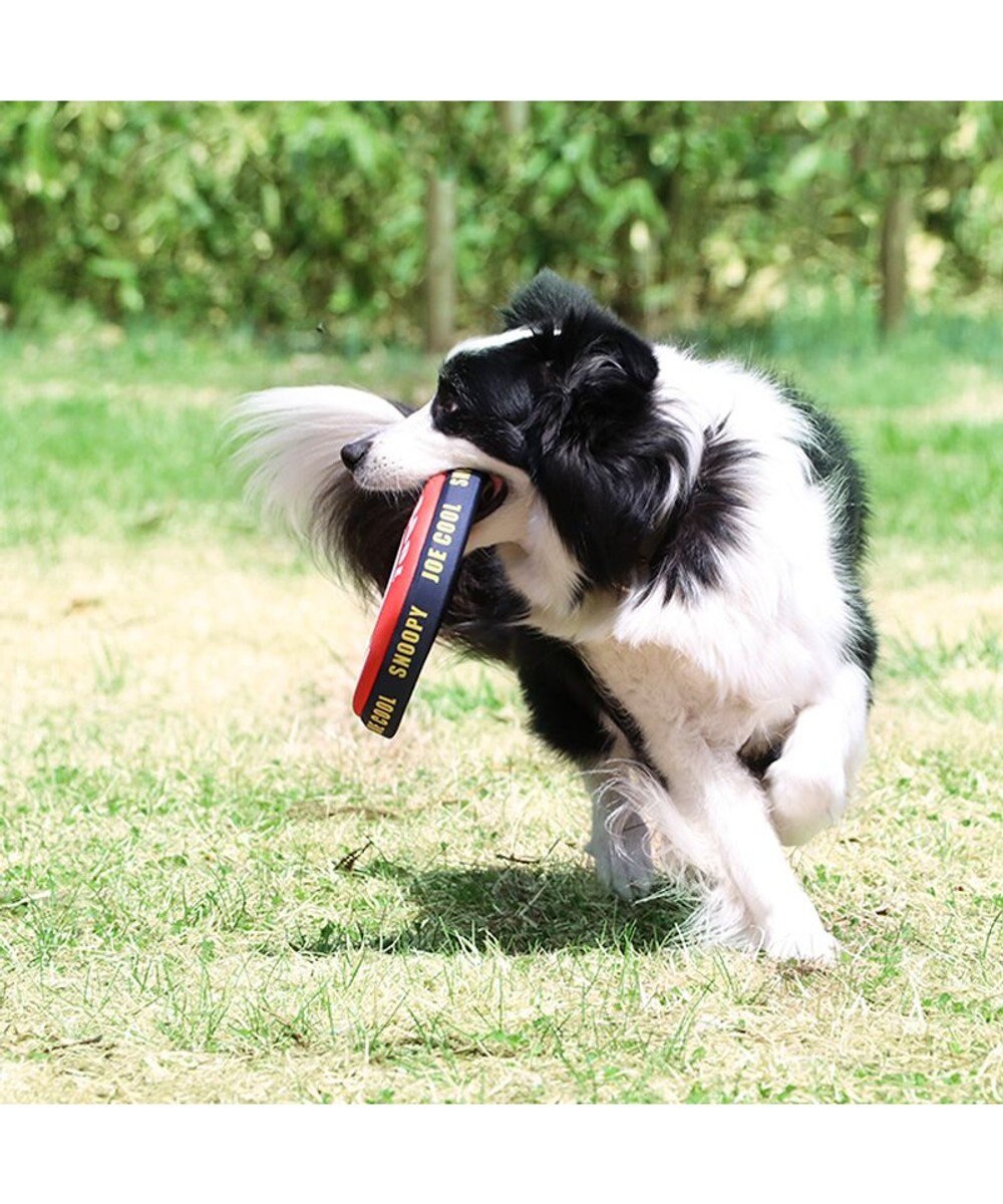 PET PARADISE 犬 おもちゃ スヌーピー フライングディスク M (直径22cm） 