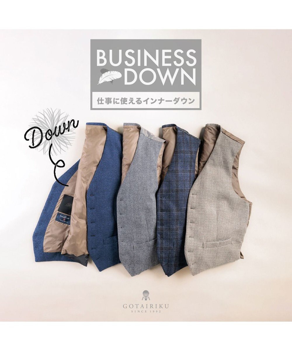 GOTAIRIKU 【IMPORT】ADSダウンベスト_DELFINO 