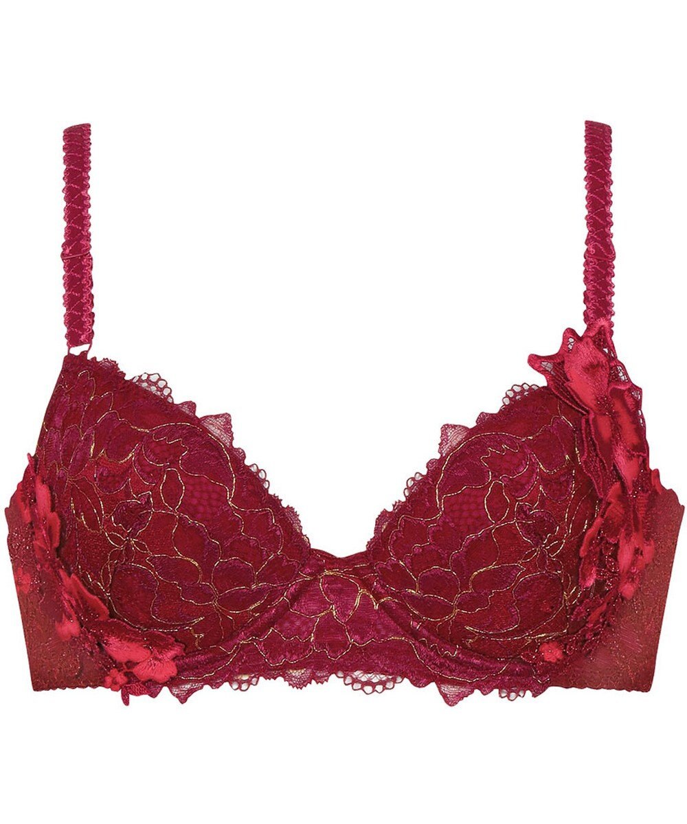 Wing Wing Lesiage　【2780シリーズ】　ブラジャー　ふっくらまる胸　総レース　ウイング／ワコール　PB2780 