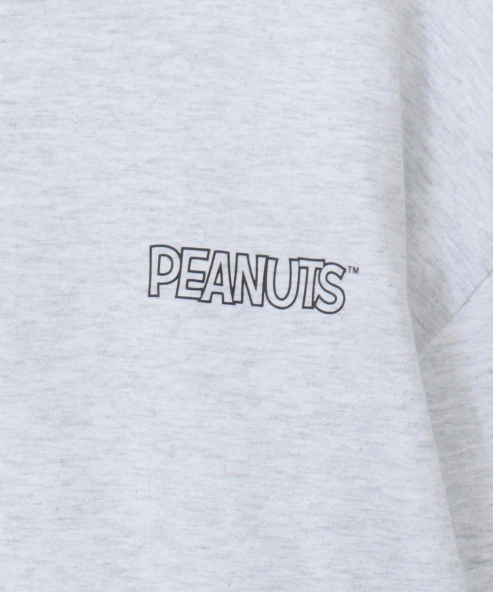 Green Parks ■ＰＥＡＮＵＴＳ　コミックロンＴ 