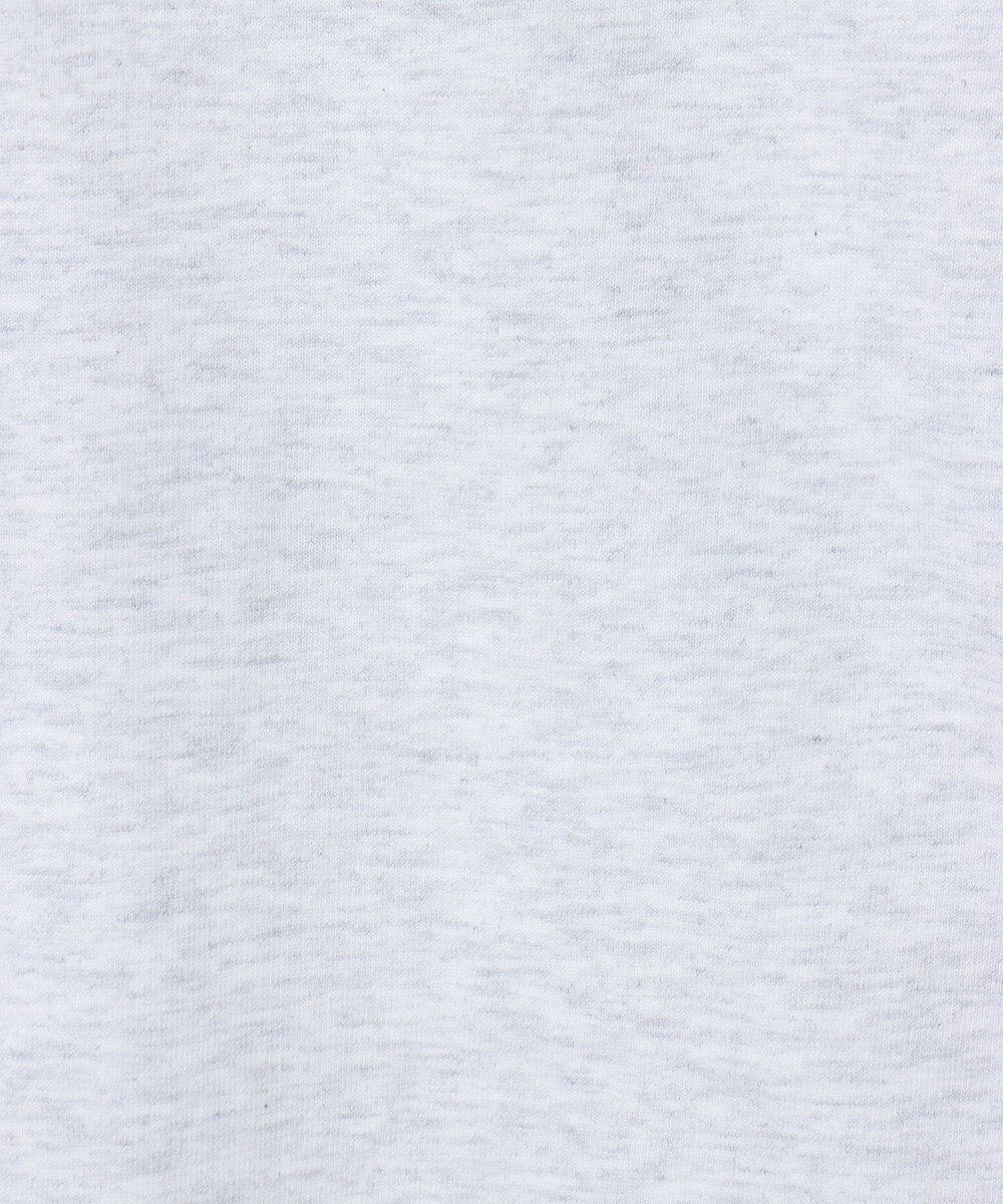 Green Parks ■ＰＥＡＮＵＴＳ　コミックロンＴ 