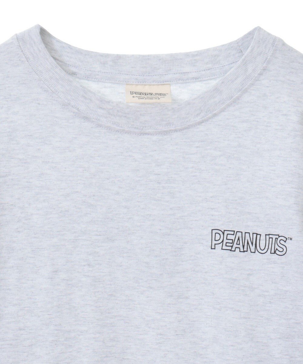 Green Parks ■ＰＥＡＮＵＴＳ　コミックロンＴ 