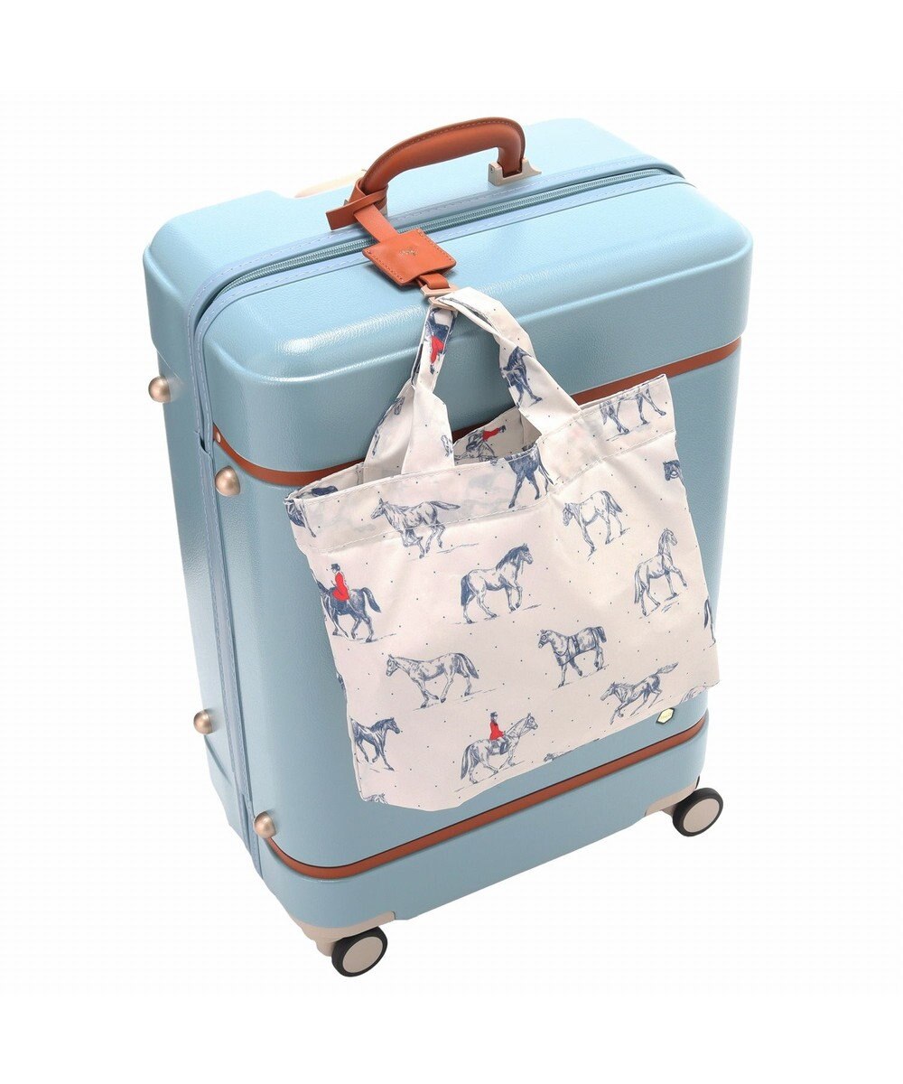 ACE BAGS & LUGGAGE HaNT ノートル  06882 スーツケース 50リットル ハント 