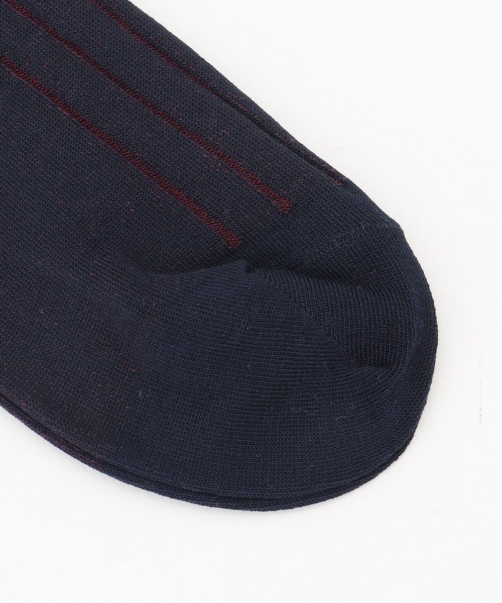 J.PRESS MEN 【定番】ハイゲージワイドストライプ リブソックス 