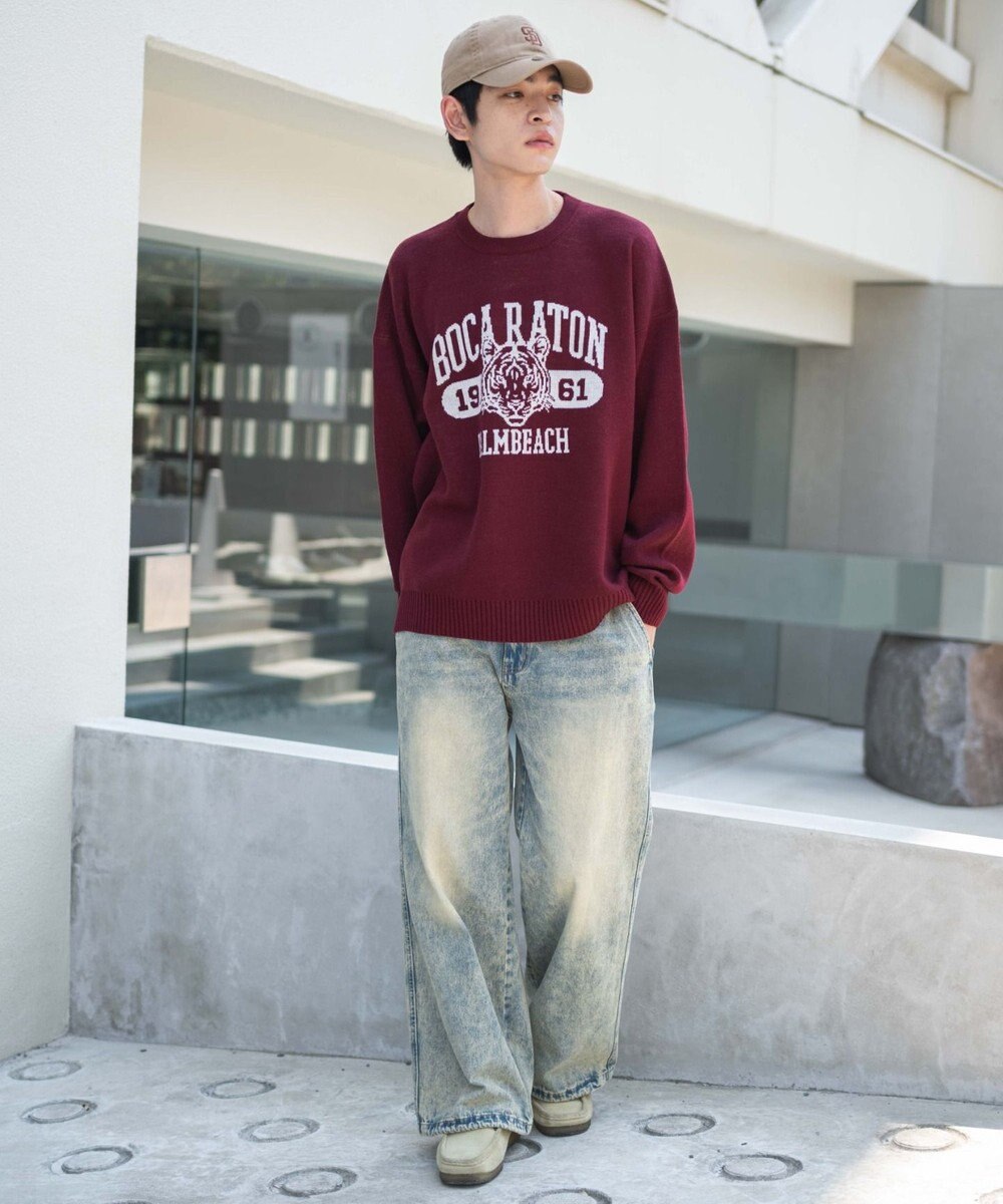 WEGO 【ユニセックス着用ITEM/SMLサイズ展開】ジャガードグラフィックプルオーバー 