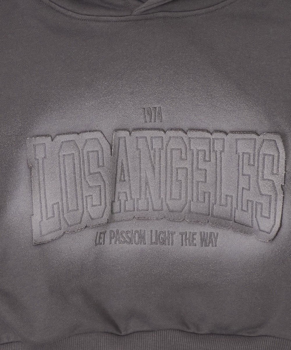 WEGO グラフィックショートパーカー 