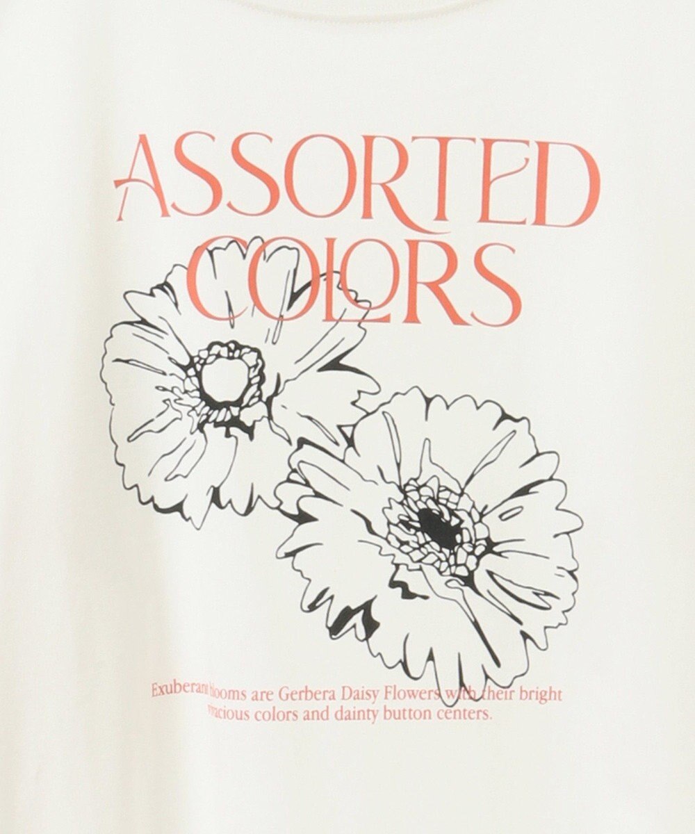 earth music&ecology アソートグラフィックロンＴ 