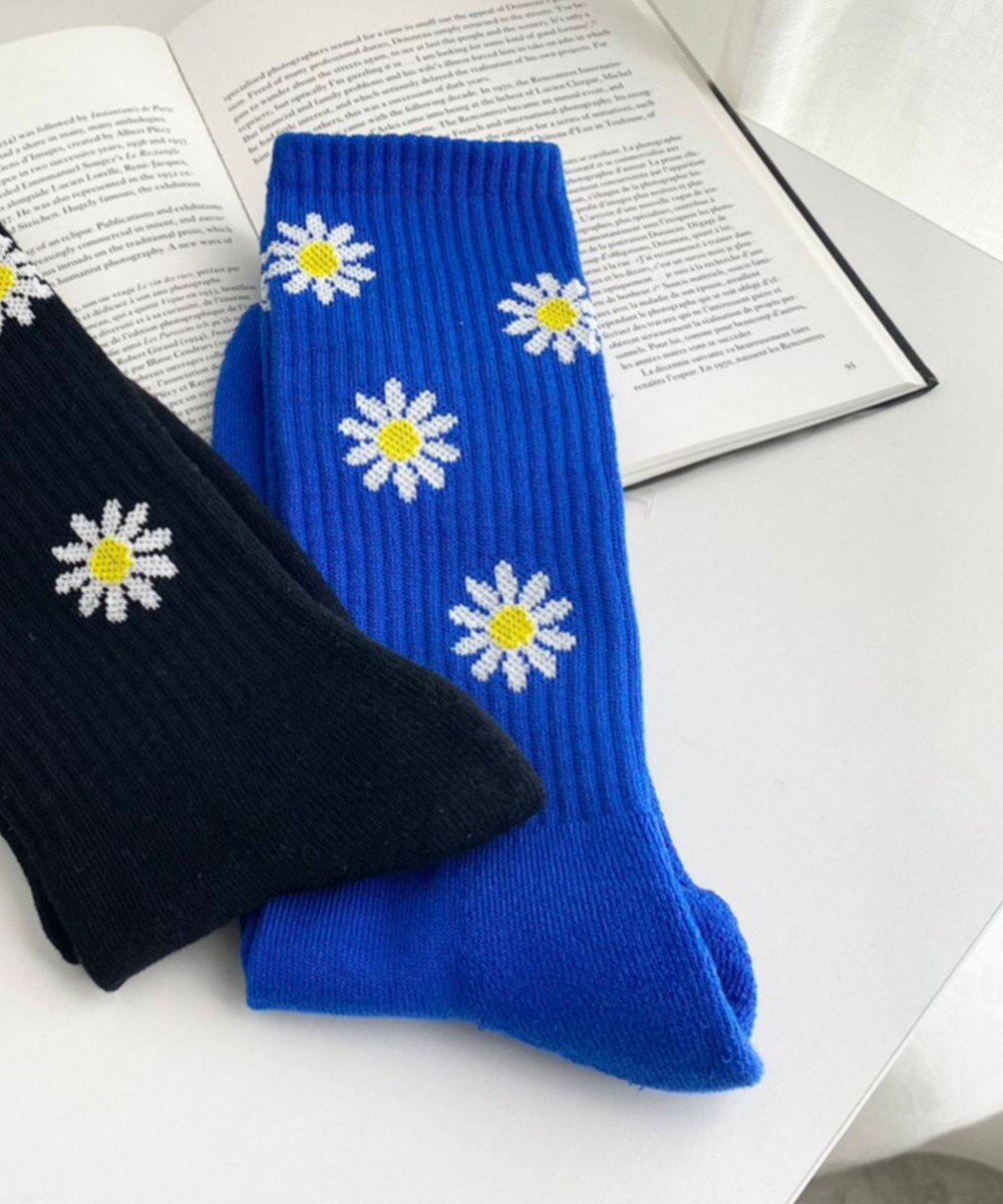 WEGO パターンデザインソックス（R） 