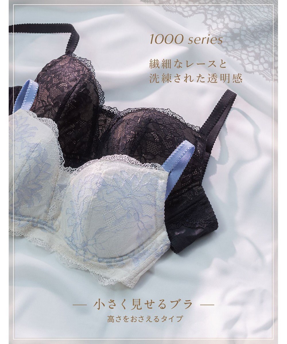 Wing Wing Lesiage 【1000シリーズ】 3/4カップブラ PB1001 ウイング／ワコール 