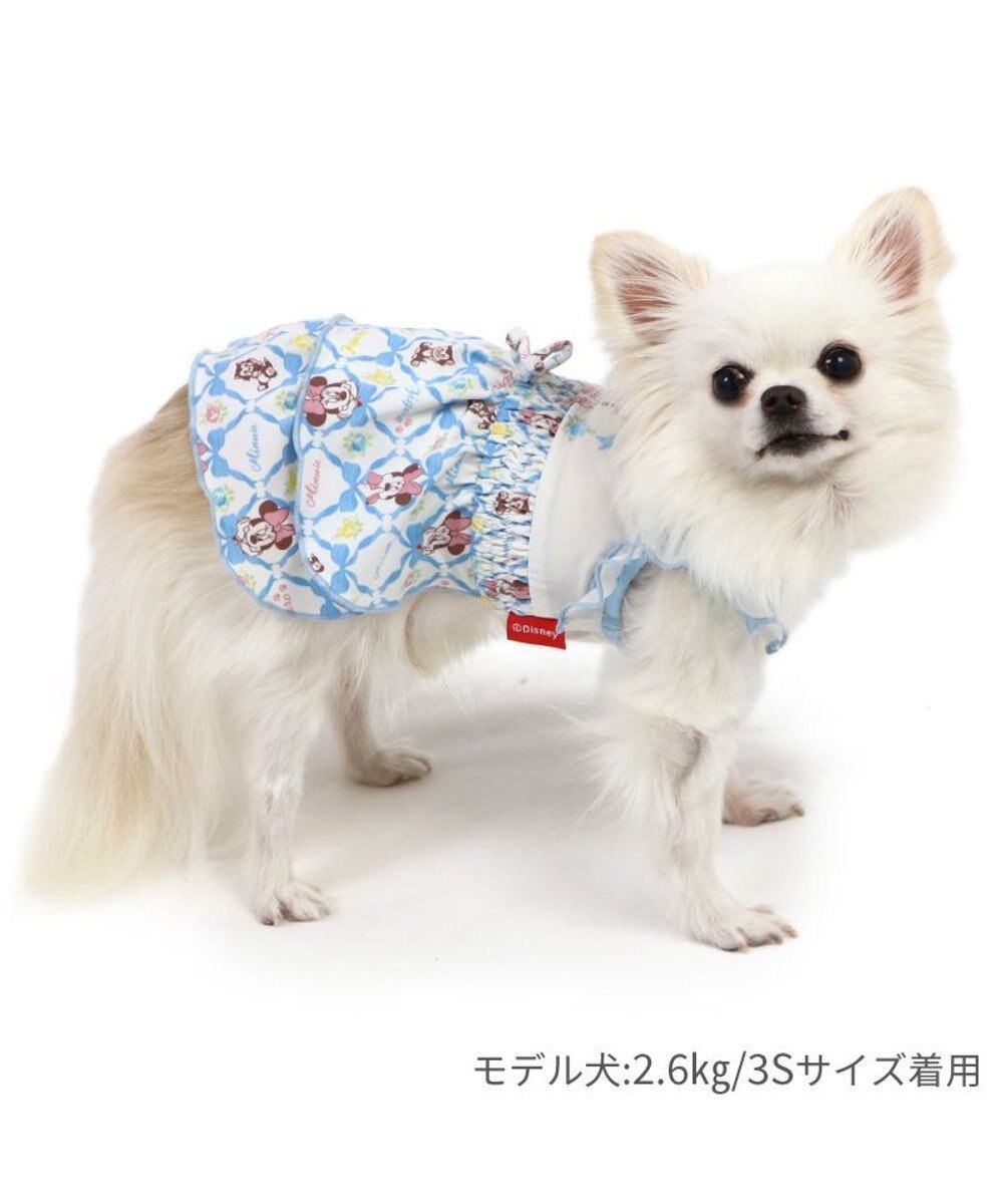 PET PARADISE ディズニー ミニー クール 天竺　ワンピース 小型犬 