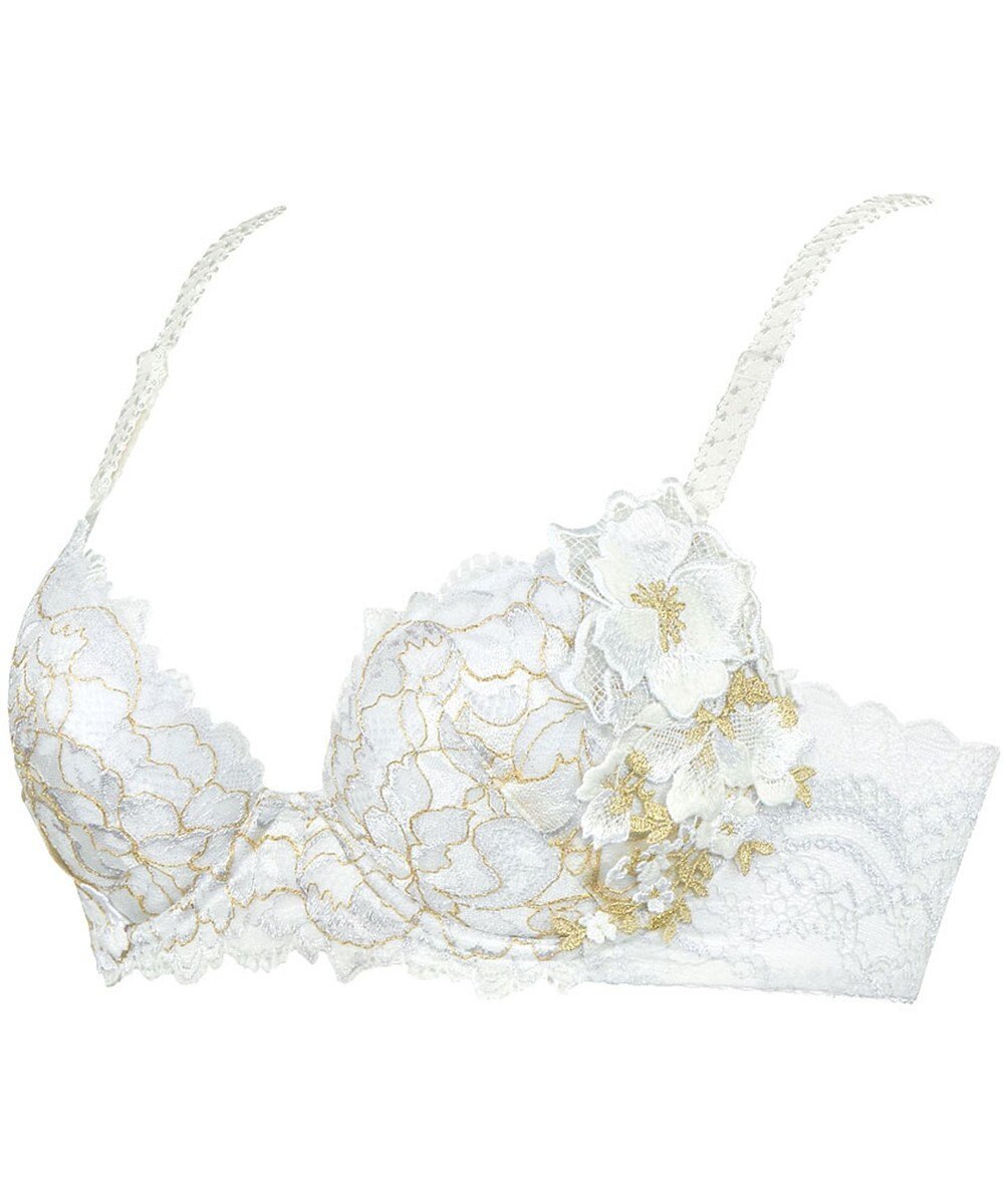 Wing Wing Lesiage　【2780シリーズ】　ブラジャー　ふっくらまる胸　総レース　ウイング／ワコール　PB2780 