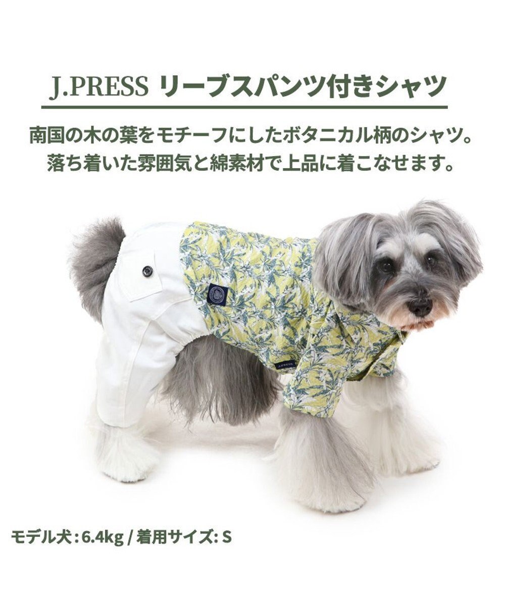 犬 服 夏服 J Press リーブス パンツ つなぎ 小型犬 ペットウエア ペットウェア ドッグウエア ドッグウェア ベビー 超小型犬 小型犬 Pet Paradise ファッション通販 公式通販 オンワード クローゼット