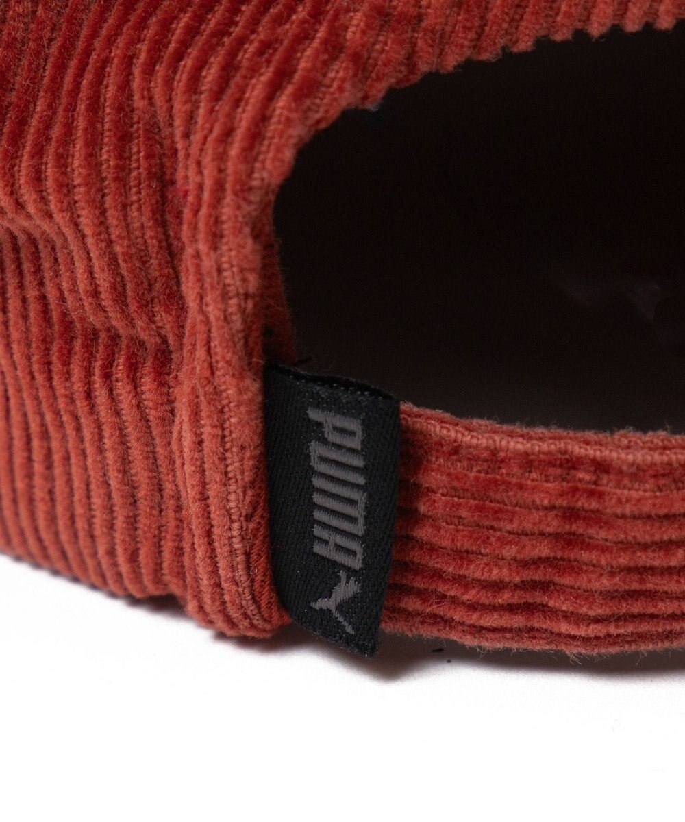 WEGO PUMA　PRIME　SKATE　DAD　キャップ 