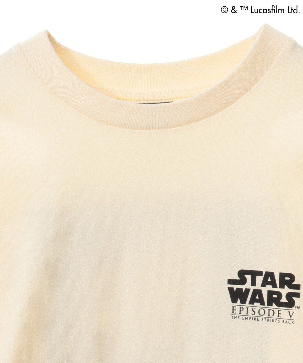 Green Parks ＳＴＡＲ　ＷＡＲＳ／グラフィック半袖ＢＩＧＴＥＥ 