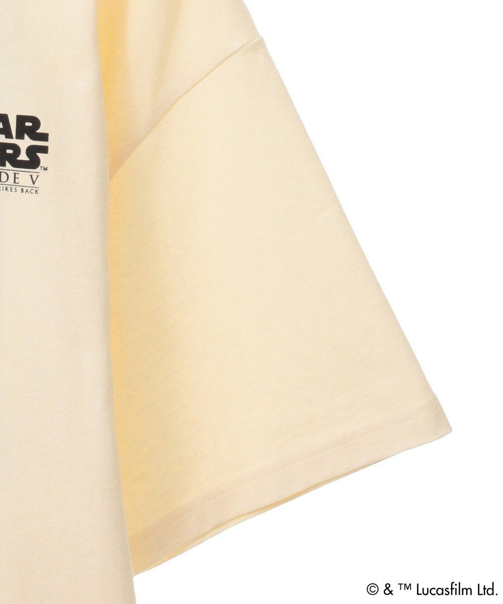 Green Parks ＳＴＡＲ　ＷＡＲＳ／グラフィック半袖ＢＩＧＴＥＥ 