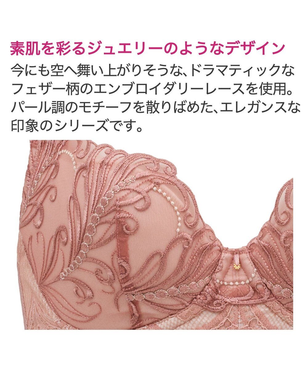 BRADELIS New York 【BRADELIS New York / 育乳STEP3 持ち上げる】ヴィオラステップ3ブラ24A1 補正 