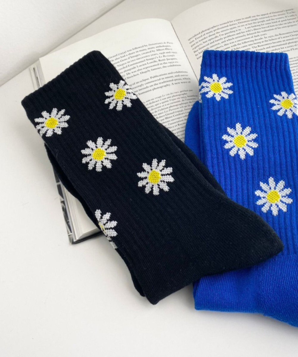 WEGO パターンデザインソックス（R） 