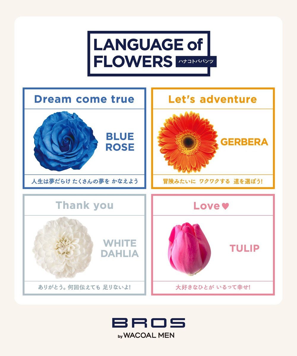 WACOAL MEN ブリーフ フロント立体設計 適度なフィット感（フロント部分） 前閉じ GF2220 /ブロス バイ ワコールメン 