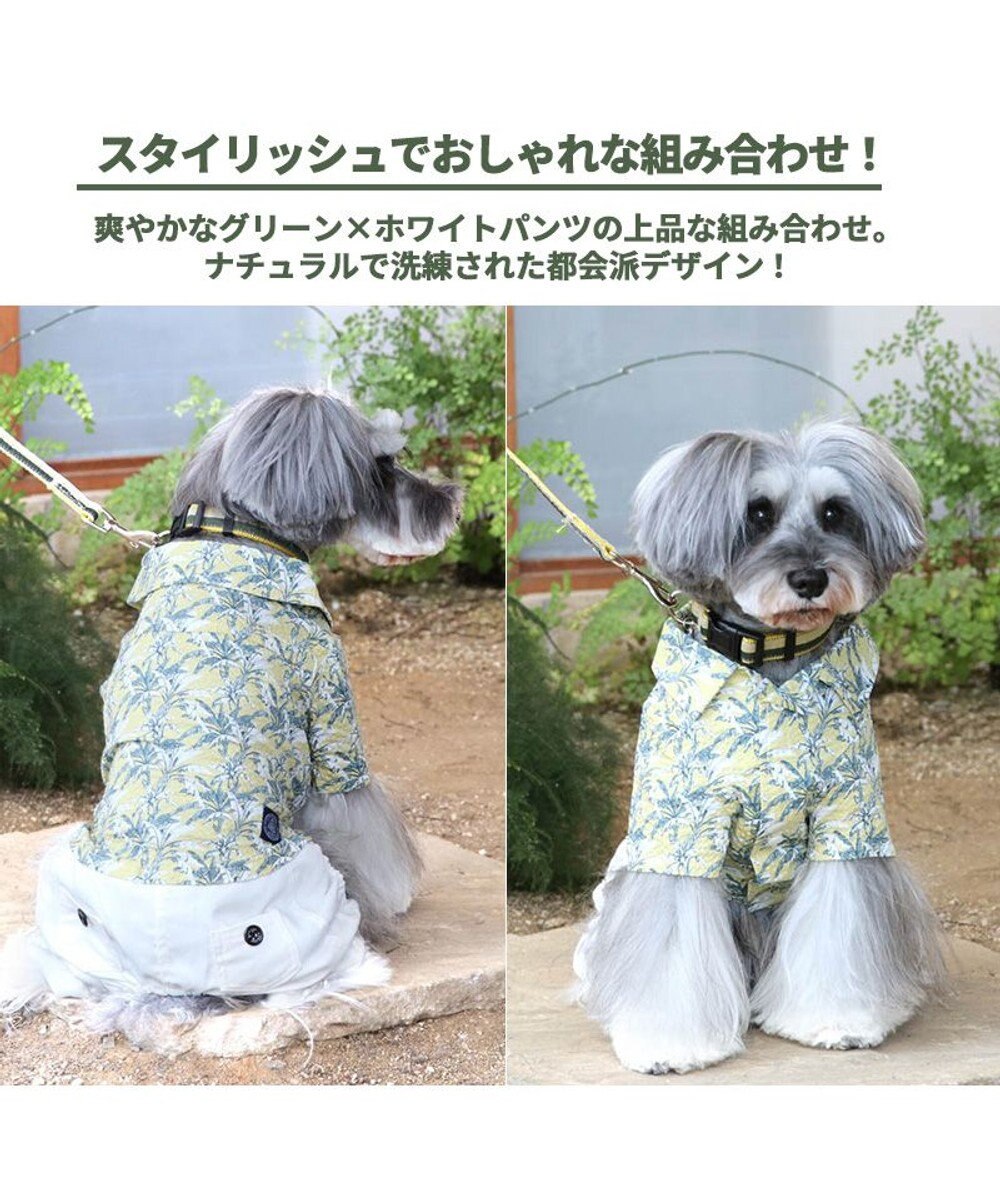 犬 服 夏服 J Press リーブス パンツ つなぎ 小型犬 ペットウエア ペットウェア ドッグウエア ドッグウェア ベビー 超小型犬 小型犬 Pet Paradise ファッション通販 公式通販 オンワード クローゼット 犬 服 夏服 J Press リーブス パンツ つなぎ 小型犬 ペットウエア ペットウェア ドッグウエア ドッグウェア ベビー 超小型犬 小型犬 Pet Paradise ファッション通販 公式通販 オンワード クローゼット