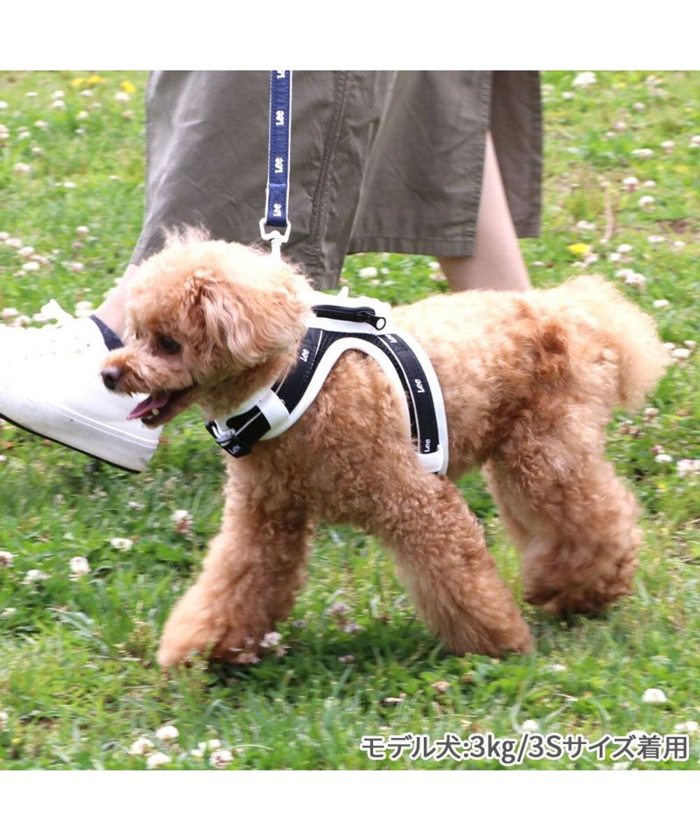 PET PARADISE Lee  ポケットハーネス ３Ｓ 小型犬 