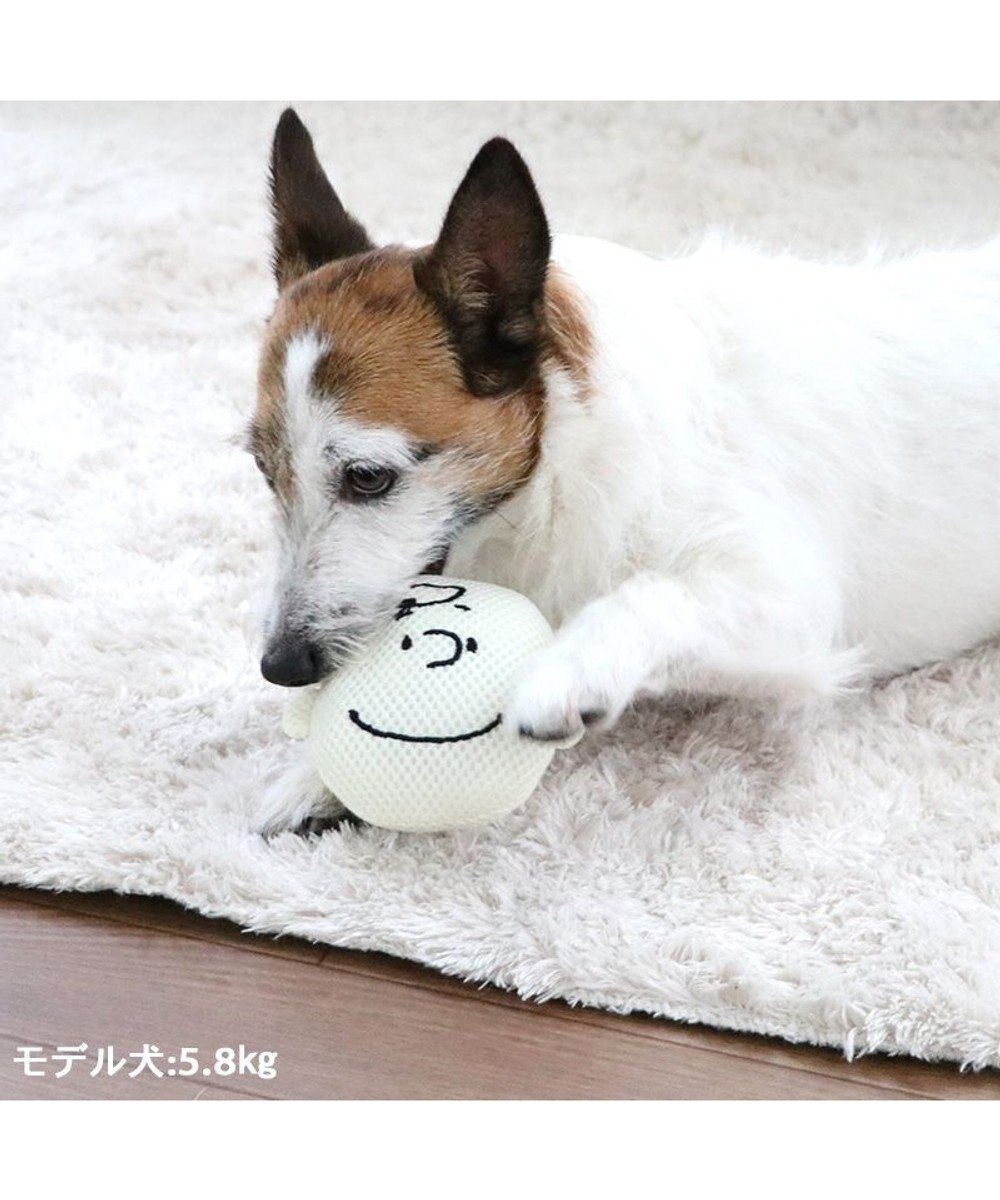 PET PARADISE スヌーピー 犬用おもちゃ デンタル フェイス チャーリーブラウン 