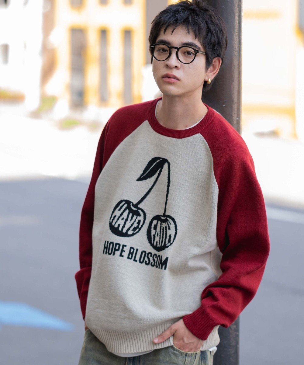 WEGO 【ユニセックス着用ITEM/SMLサイズ展開】ジャガードグラフィックプルオーバー 