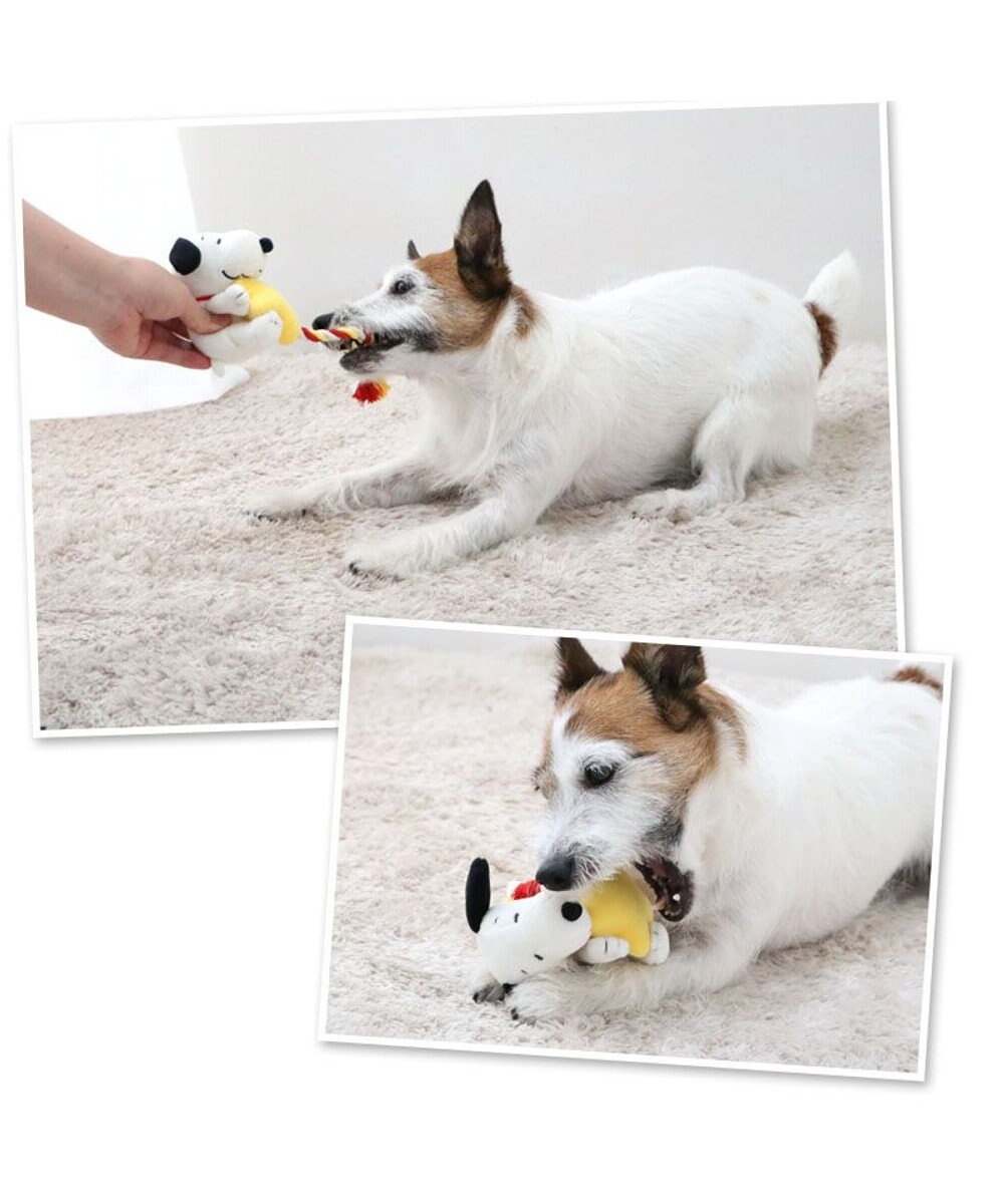 PET PARADISE スヌーピー  流れ星トイ  小型犬 