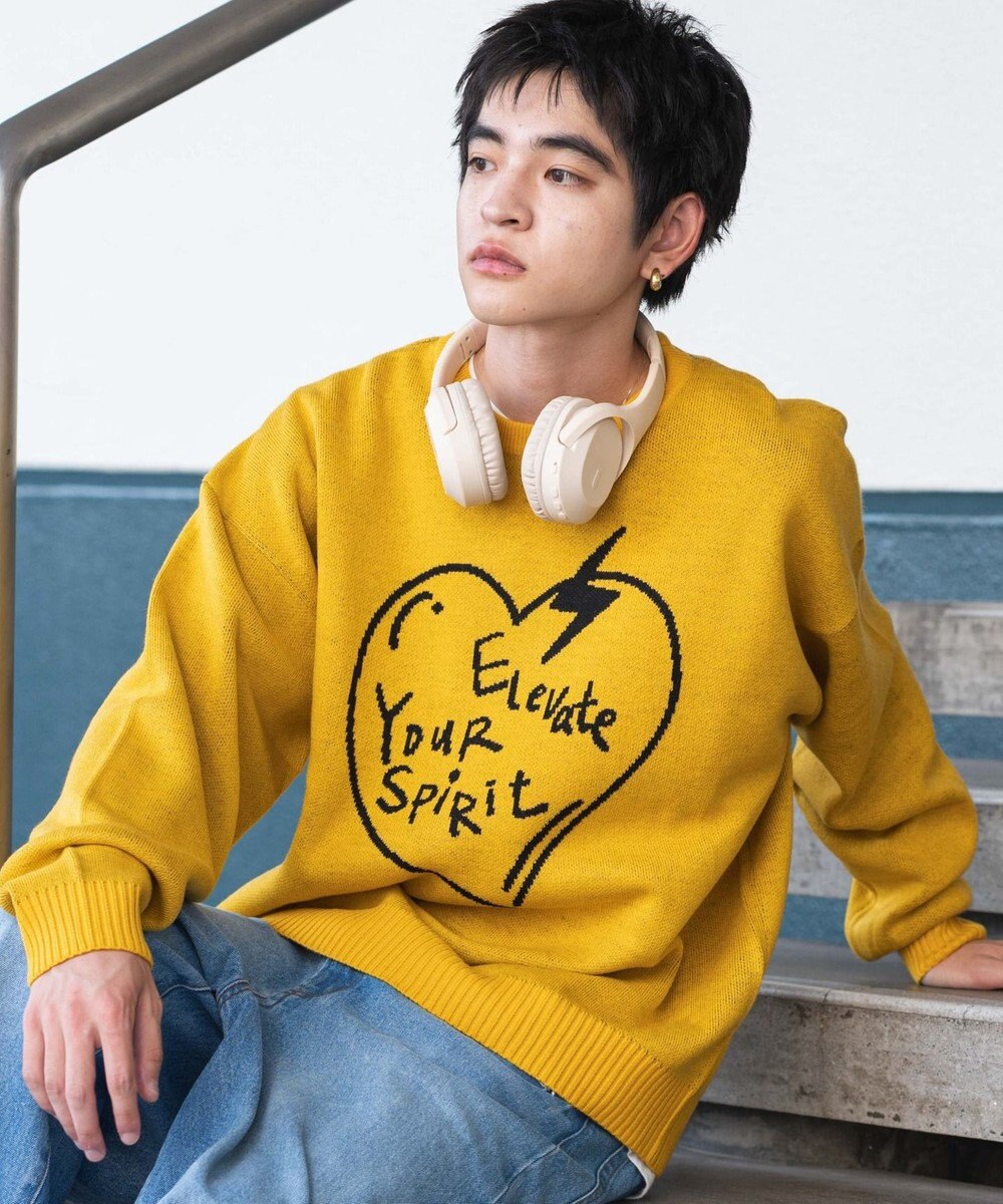 WEGO 【ユニセックス着用ITEM/SMLサイズ展開】ジャガードグラフィックプルオーバー 