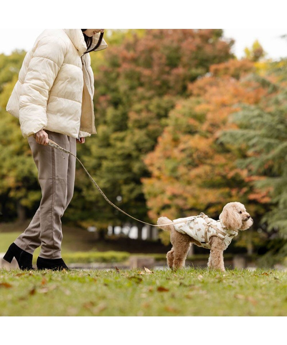 PET PARADISE ペットパラダイス くまちゃん アウターハーネス 小型犬 