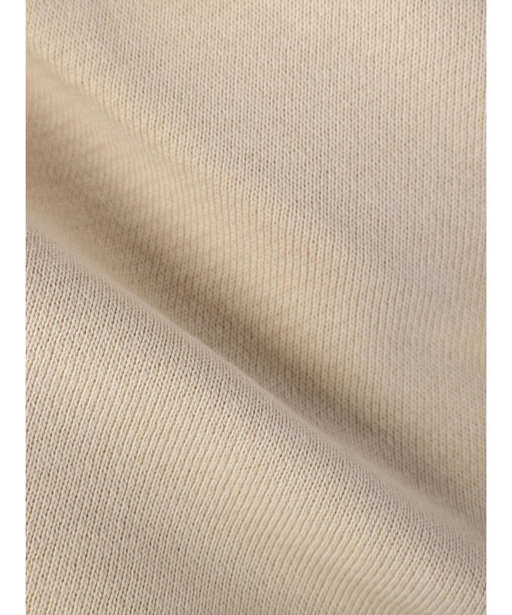 AMERICAN HOLIC バックＶラグランスウェット 