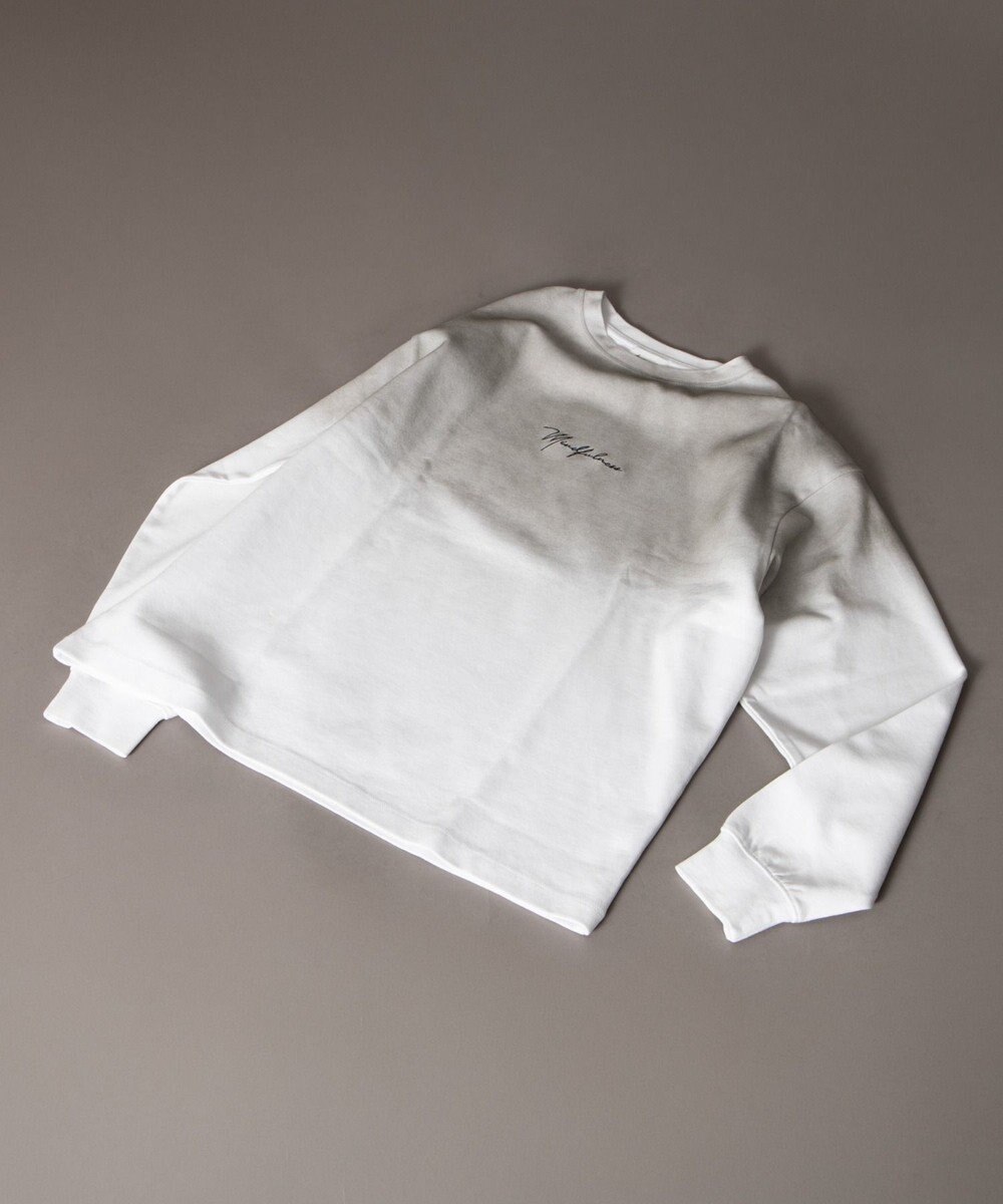 WEGO ワンポイントT（LS） 