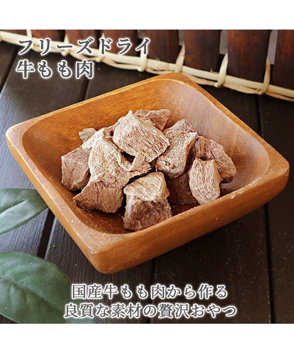 PET PARADISE プレミアムフード フリーズドライ 牛もも肉 18g 