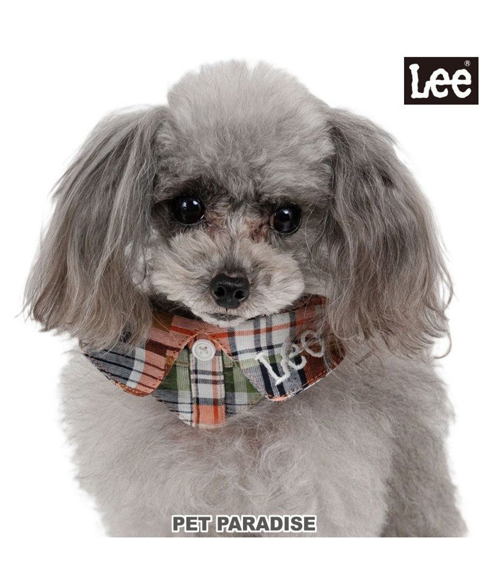 PET PARADISE Lee チェック襟付 首輪 Ｓ 小型犬 