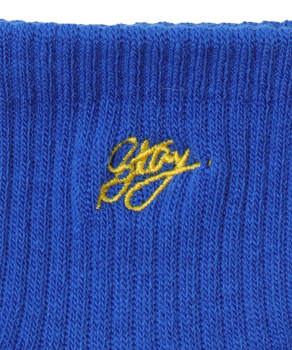 WEGO カラーロゴ刺繍アンクルパイルソックス 