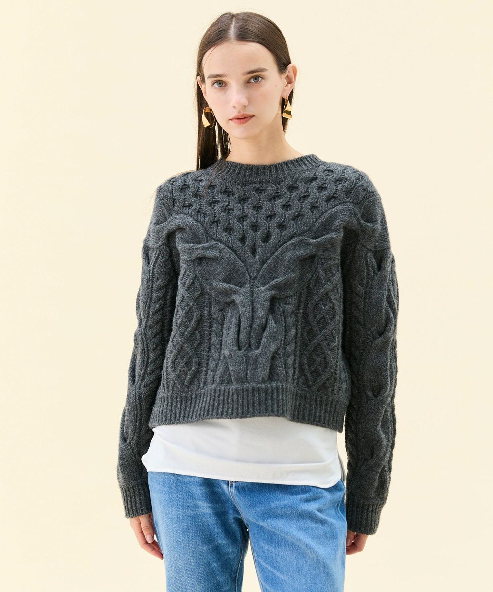 BEIGE， RULE / ウールカシミヤアラン編みクロップドニット 