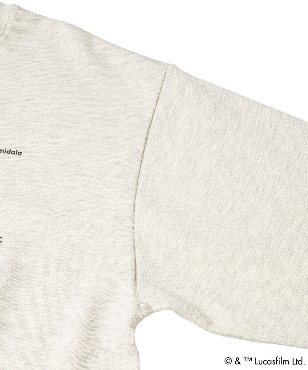 Green Parks ＳＴＡＲ　ＷＡＲＳ／プリントスウェット 