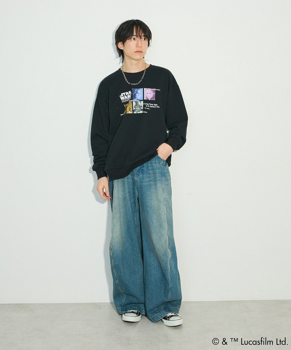 Green Parks ＳＴＡＲ　ＷＡＲＳ／プリントスウェット 