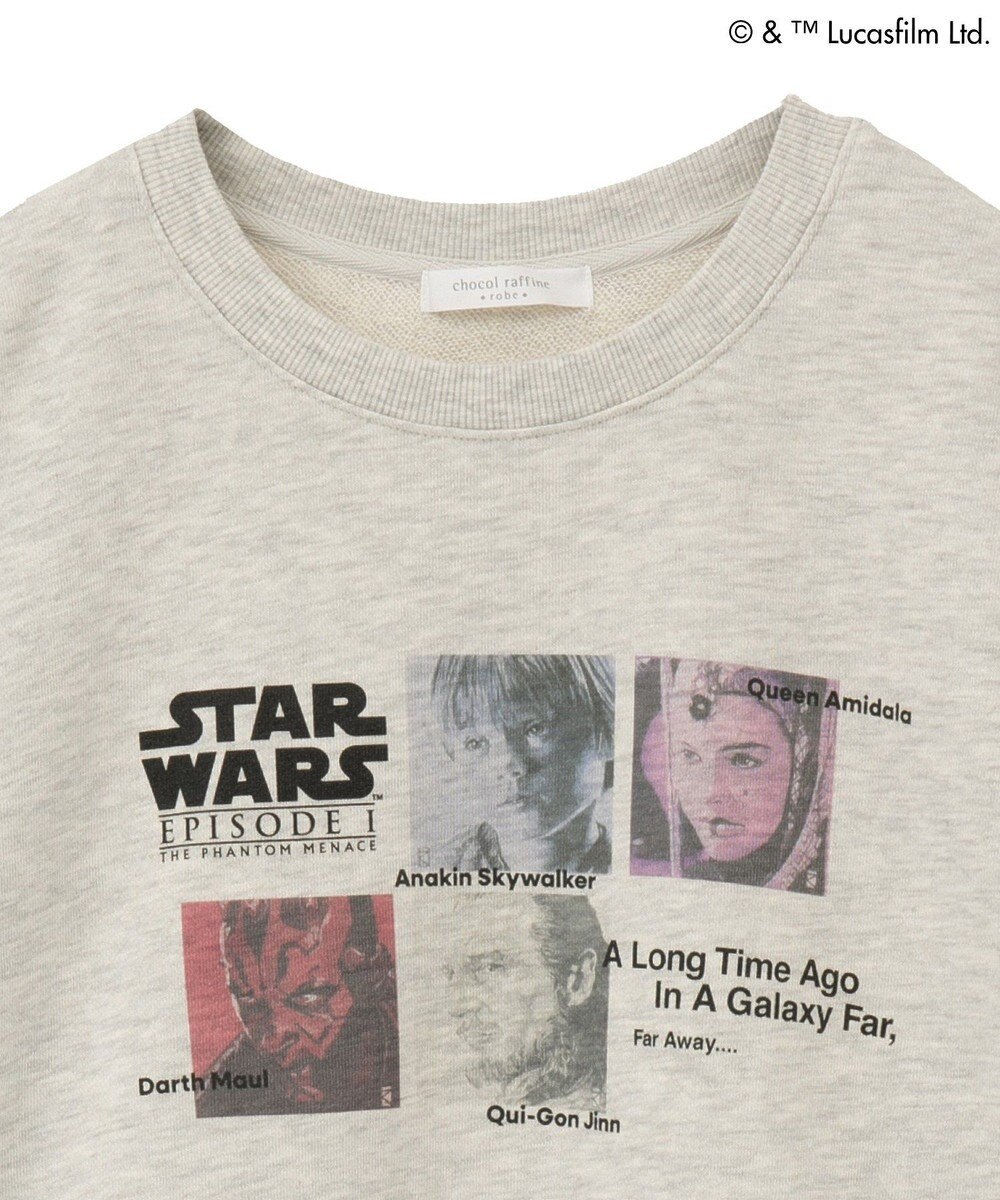 Green Parks ＳＴＡＲ　ＷＡＲＳ／プリントスウェット 