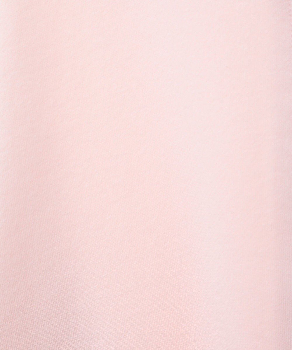 AMERICAN HOLIC ヘンリーネックラウンドミニ裏毛プルオーバー 