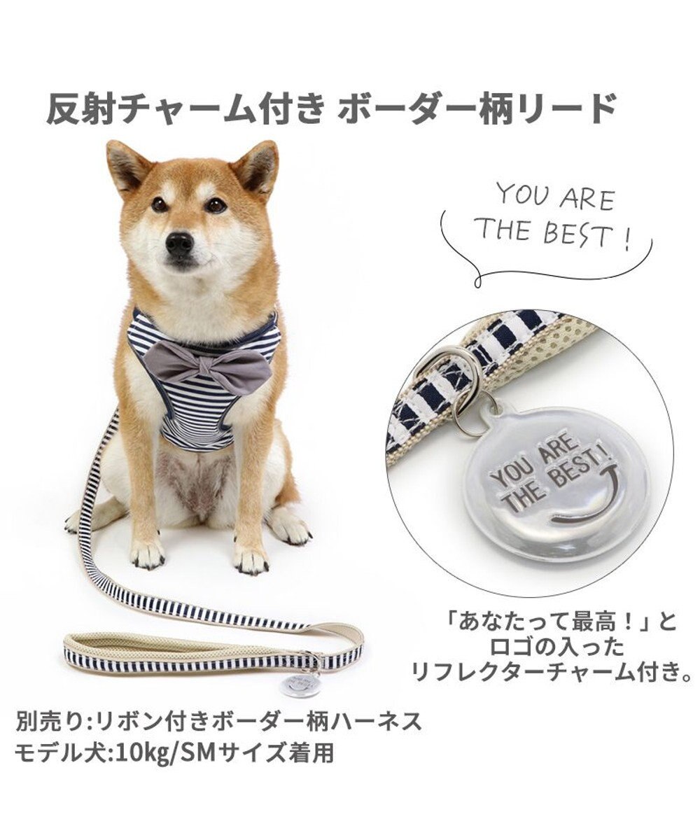 PET PARADISE 犬 リード 【ＳＭ】 ボーダー 