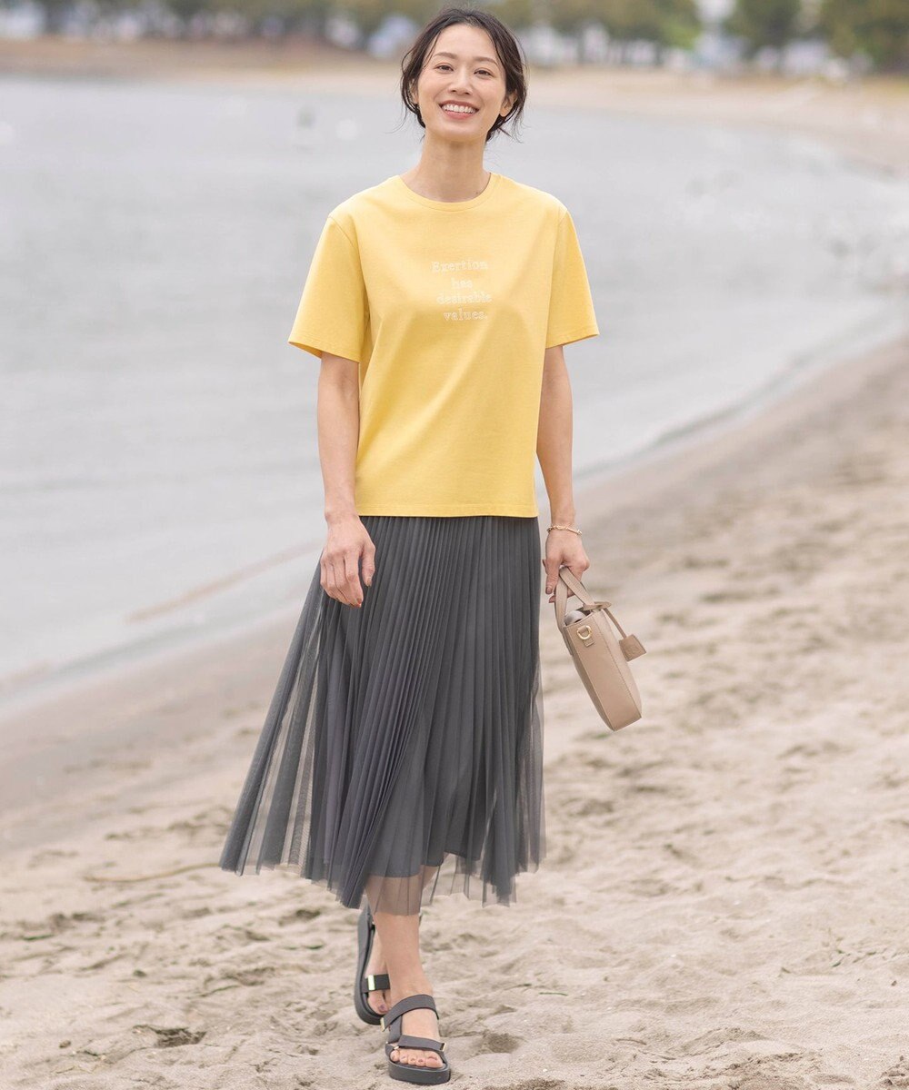 J.PRESS LADIES L 【WEB限定カラーあり・洗える】ハイゲージチュール プリーツ スカート 