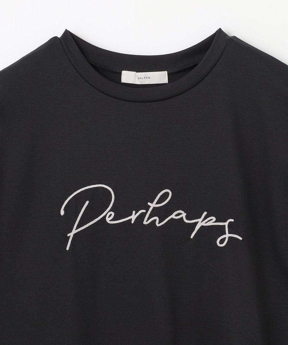 ANY 【汗ジミ防止加工】シルケットスムースフレンチスリーブ刺繍ロゴTシャツ 