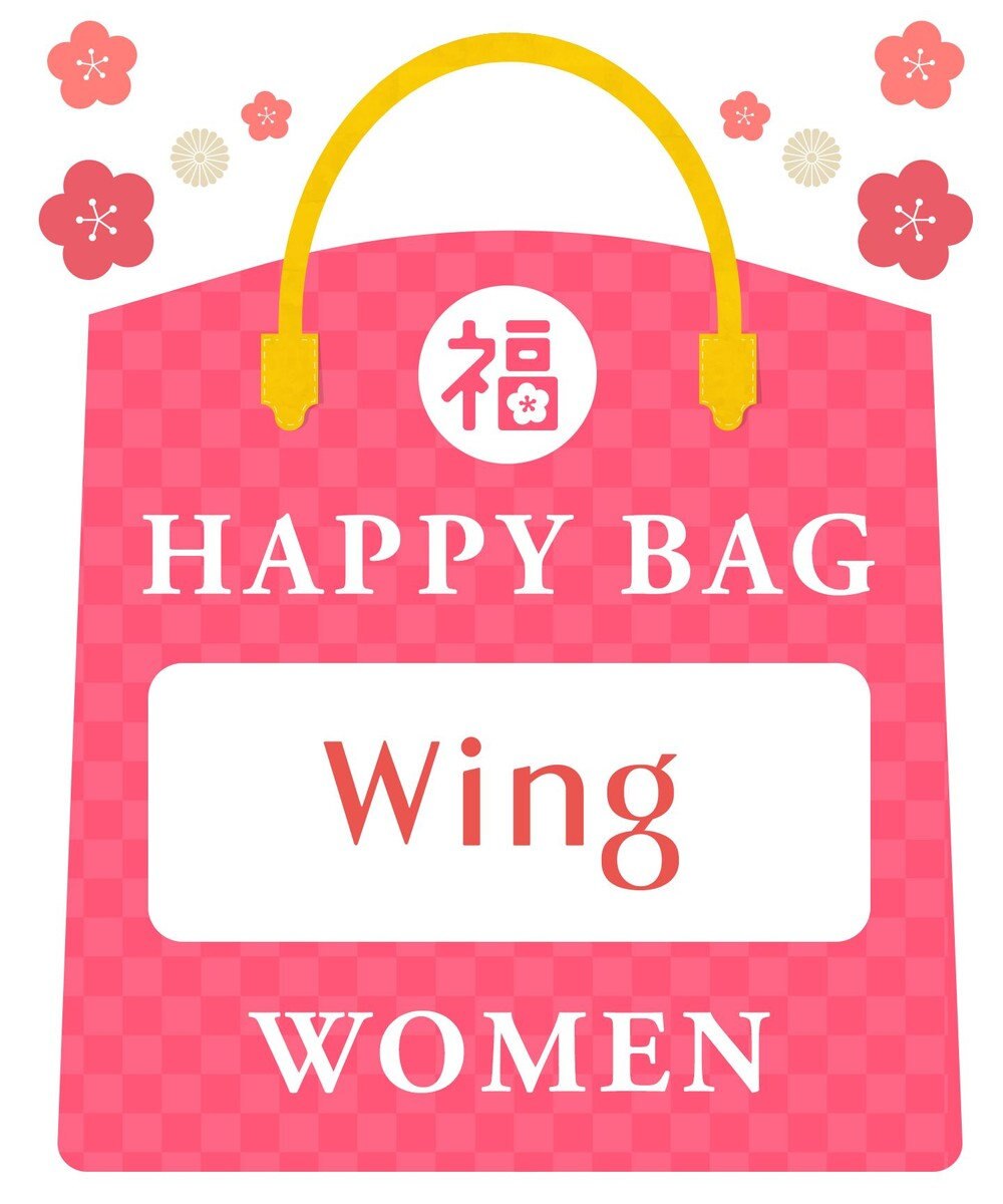 Wing 【2025年HAPPY BAG】 ウイング ノンワイヤーブラ 3枚セット その他