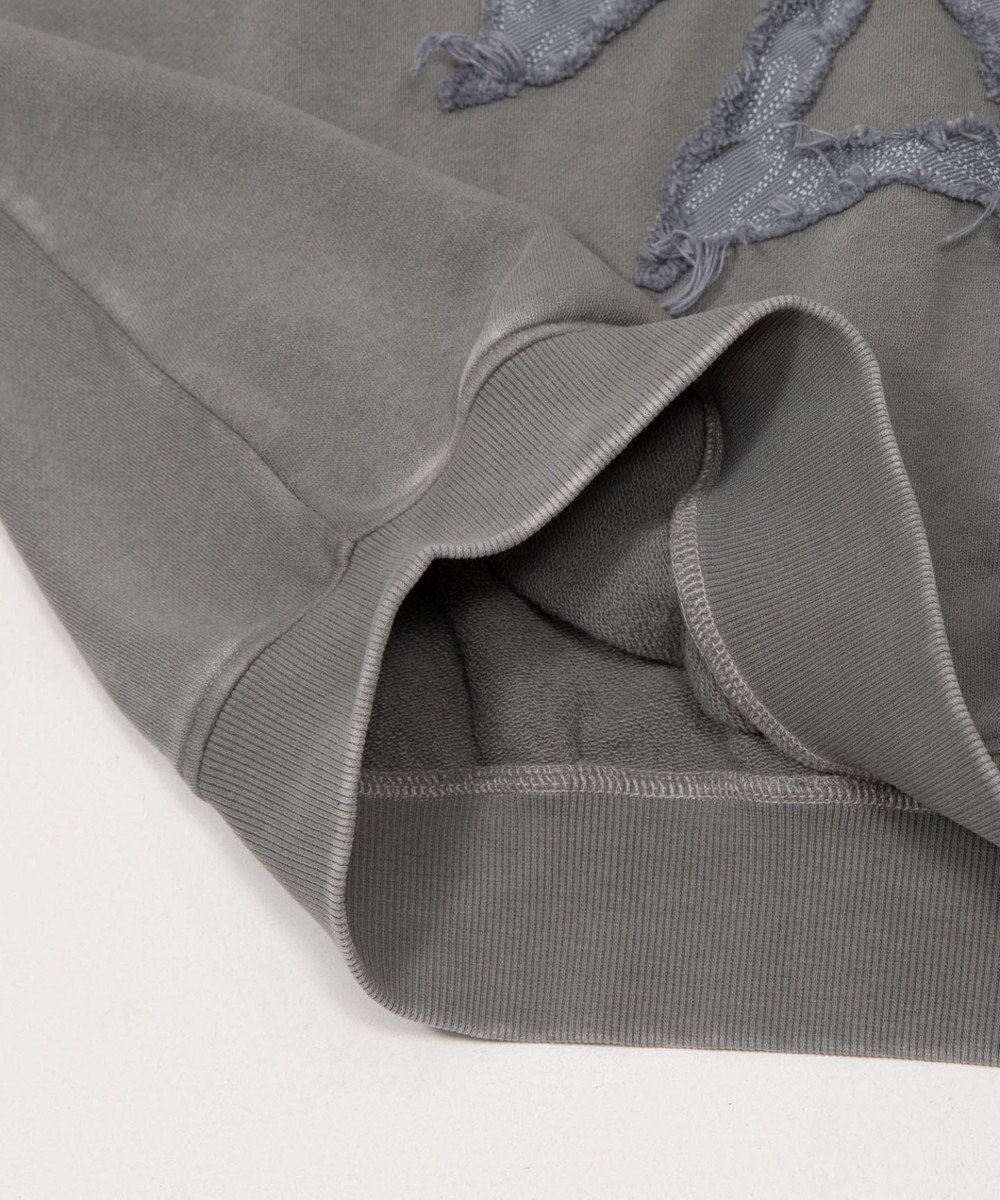 WEGO 【ユニセックス着用ITEM】ブリーチハトメロゴプルオーバー 