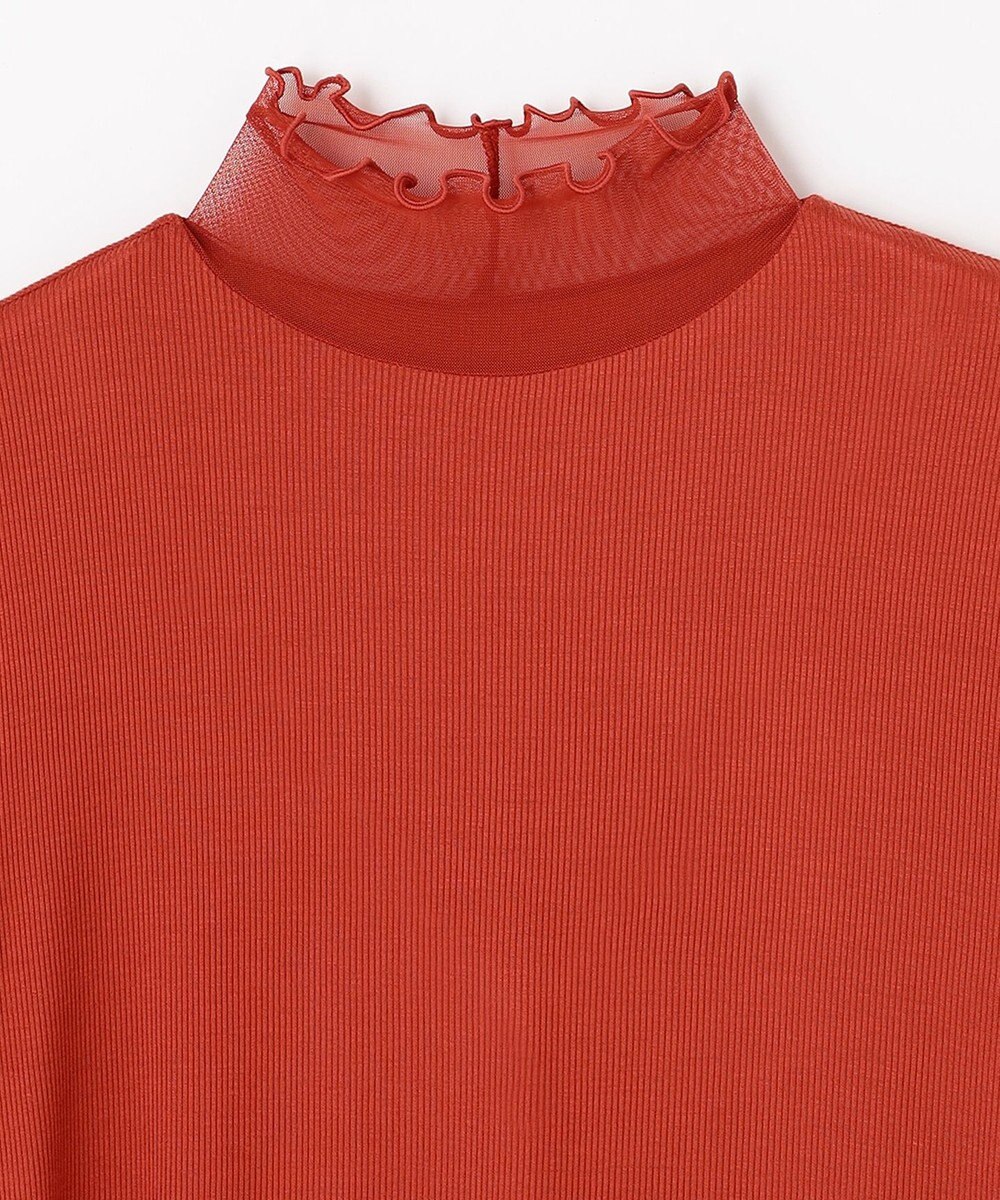 ANY L 【新色追加】シアーコンビタートル 