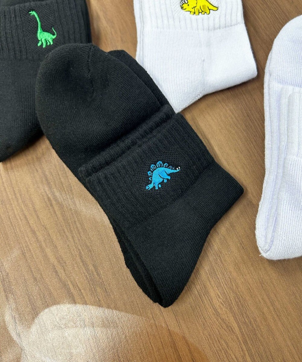 WEGO ダイナソー刺繍アンクルソックス 