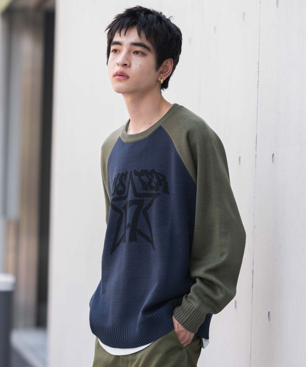 WEGO 【ユニセックス着用ITEM/SMLサイズ展開】ジャガードグラフィックプルオーバー 