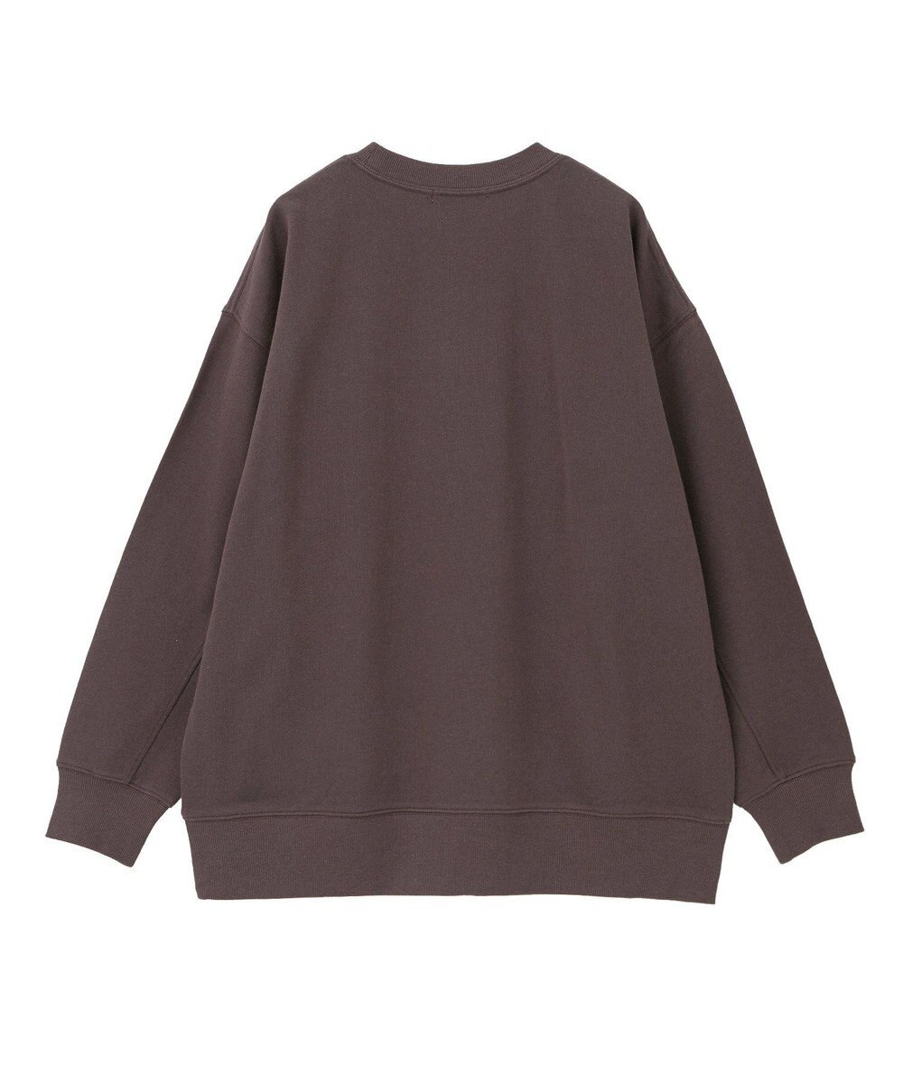 AMERICAN HOLIC アソートカレッジロゴ裏毛プルオーバー 